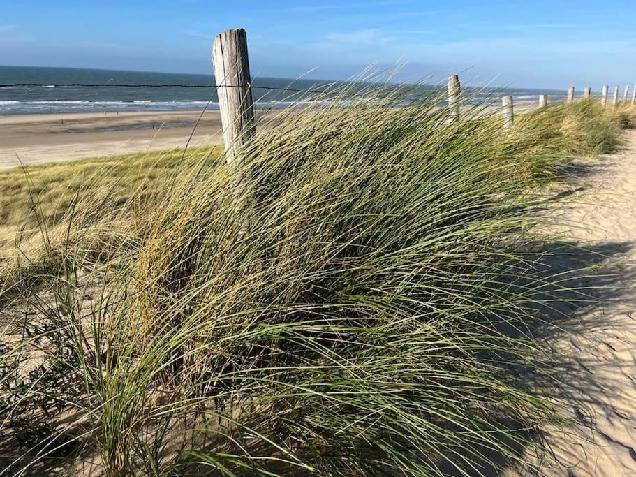 Ruime Vakantiewoning Aan De Kust 48, Op 50M Van Strand! Egmond aan Zee Exteriér fotografie