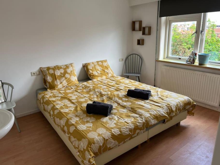 Ruime Vakantiewoning Aan De Kust 48, Op 50M Van Strand! Egmond aan Zee Exteriér fotografie
